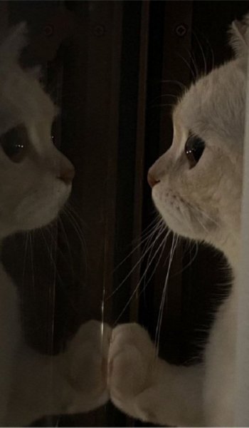  145 عکس پس زمینه گوشی خفن