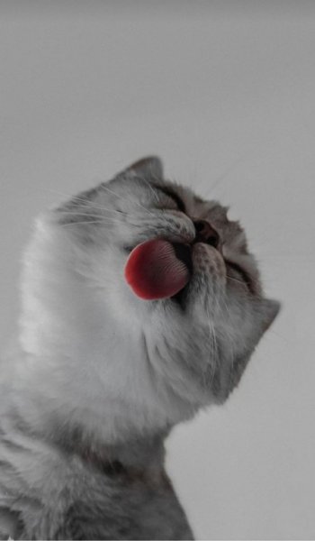 250 تصویر زمینه لاکچری