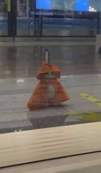  250 تصویر زمینه لاکچری