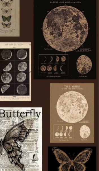  250 تصویر زمینه لاکچری