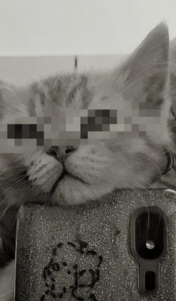  250 تصویر زمینه لاکچری