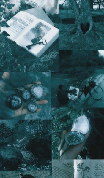  250 تصویر زمینه لاکچری