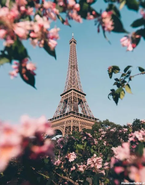  178 عکس پس زمینه شیک و باکلاس متحرک