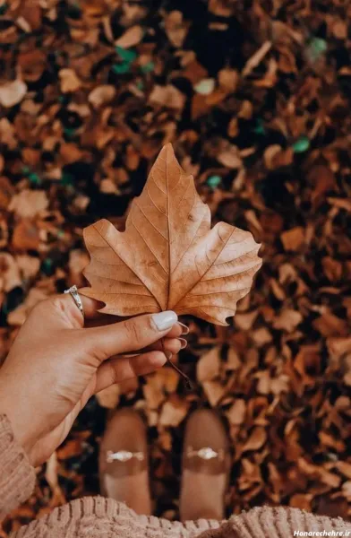  178 عکس پس زمینه شیک و باکلاس متحرک