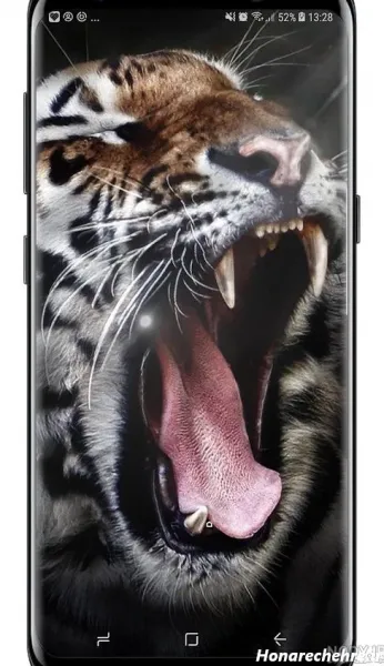  178 عکس پس زمینه شیک و باکلاس متحرک