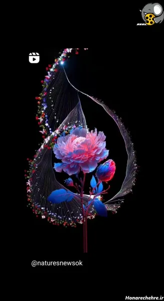  178 عکس پس زمینه شیک و باکلاس متحرک