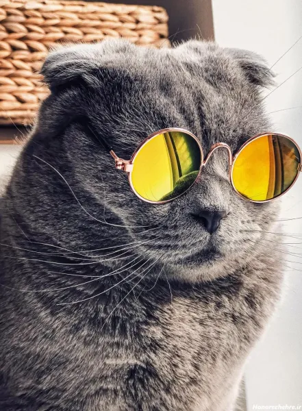  178 عکس پس زمینه شیک و باکلاس متحرک