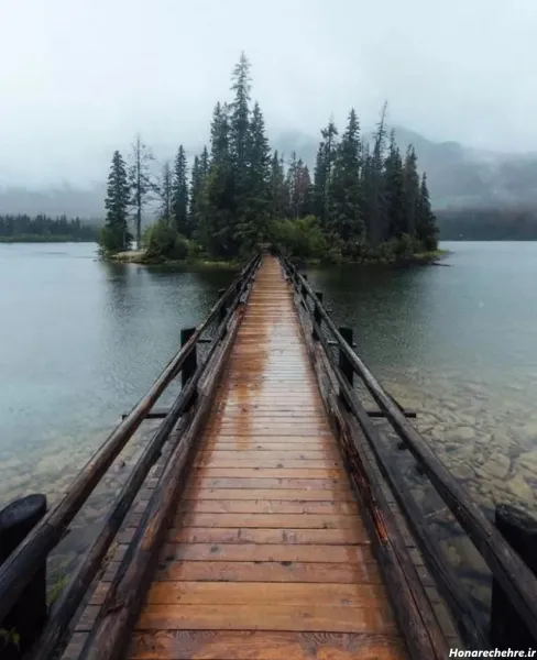  178 عکس پس زمینه شیک و باکلاس متحرک