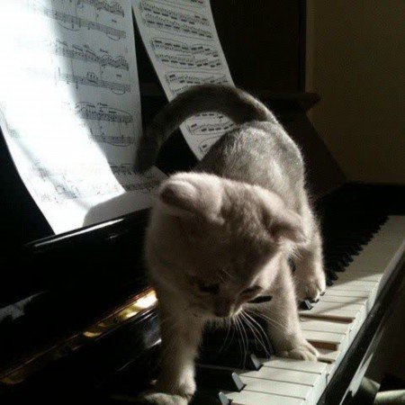  عکس تولد برای خودم