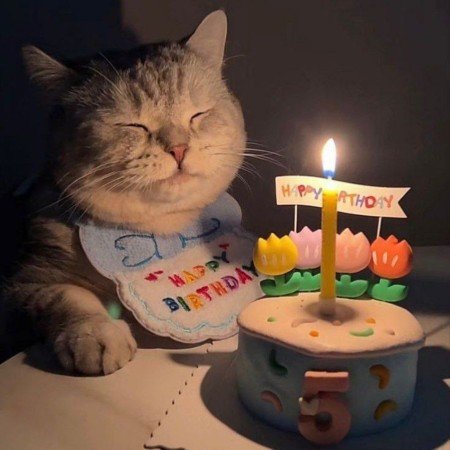  عکس تولد مبارک