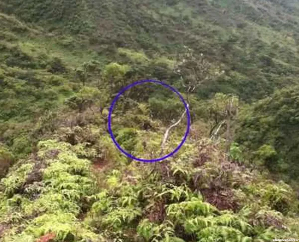  عکس ترسناک واقعی