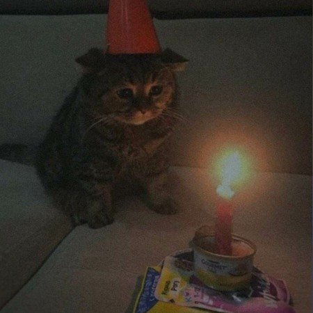  85 عکس تولدم مبارک