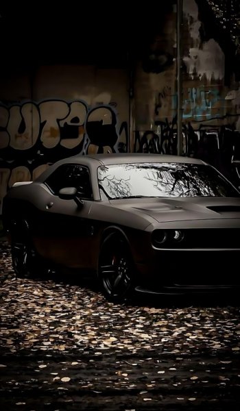  عکس ماشین گنگ