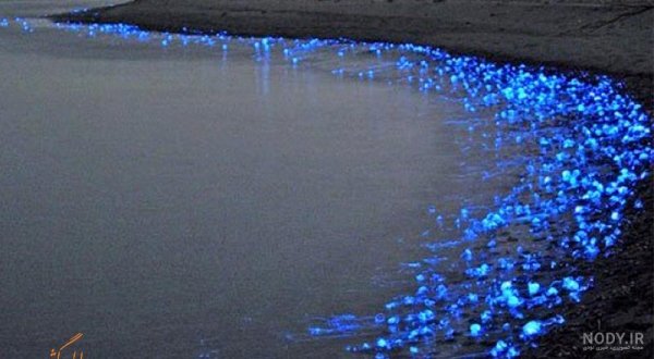  عکس شمال واقعی شب