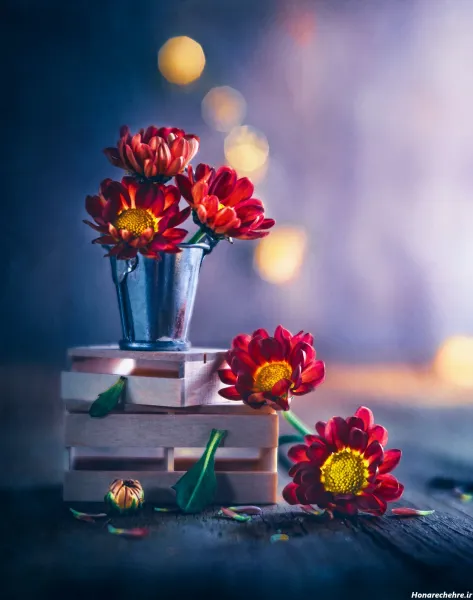  عکس طبیعت فوق العاده زیبا گل