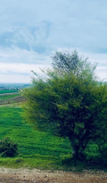  عکس منظره زیبا واقعی