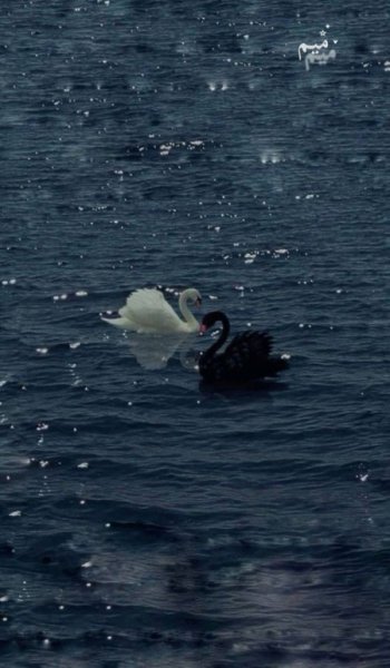  عکس منظره زیبا واقعی