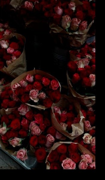  عکس طبیعت واقعی ایران