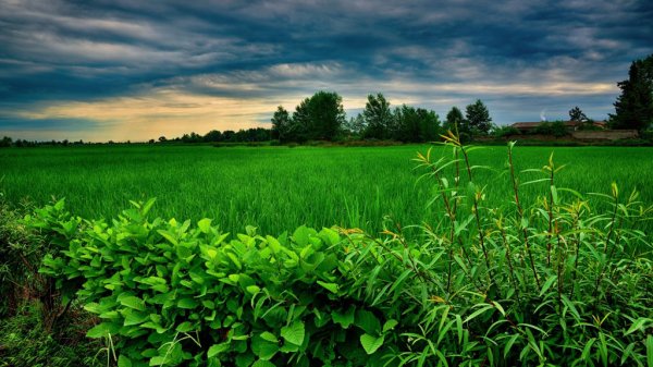  30 عکس طبیعت ایران برای پروفایل