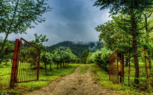  30 عکس طبیعت ایران برای پروفایل