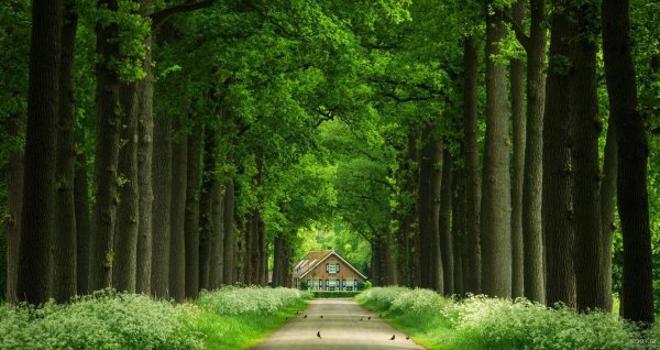  عکس دشت زیبا