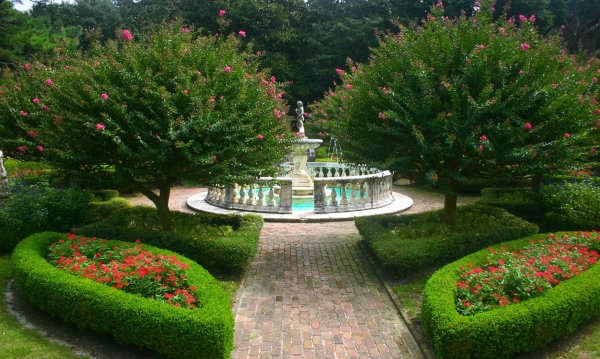  عکس دشت زیبا