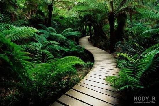  عکس دشت زیبا