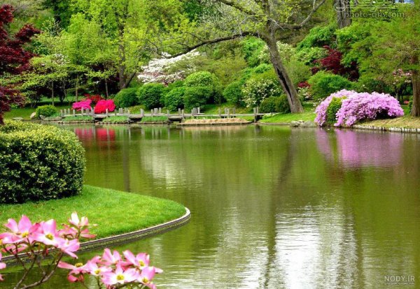  عکس دشت زیبا