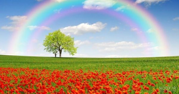  عکس دشت زیبا