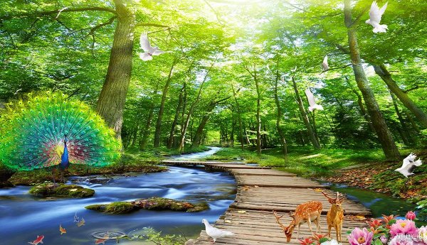  عکس دشت زیبا