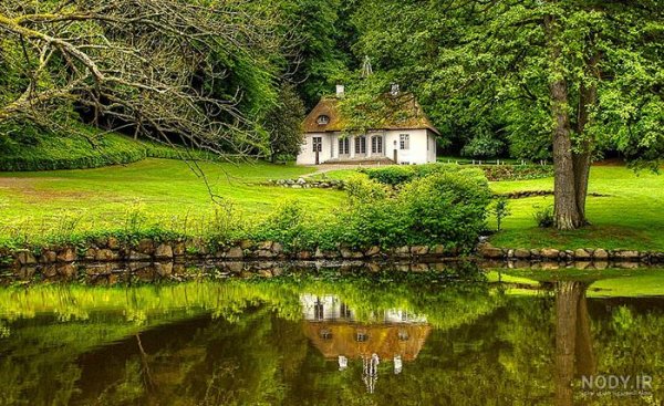  عکس دشت زیبا