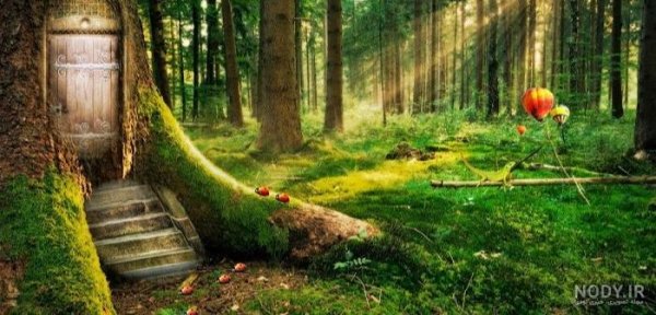  عکس دشت زیبا