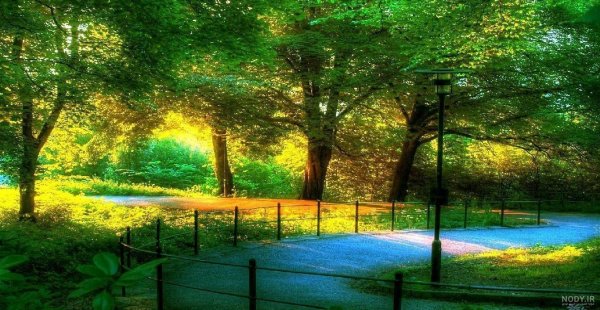  عکس دشت زیبا