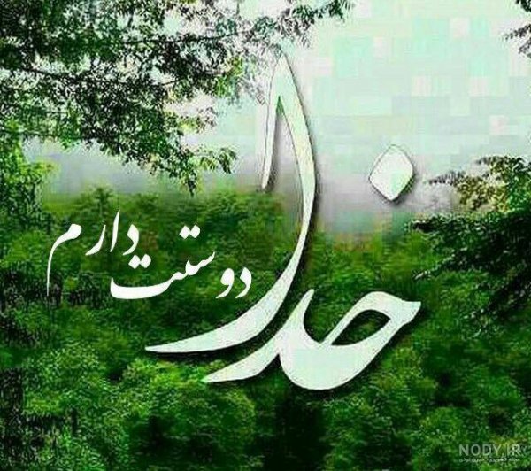  عکس دشت زیبا