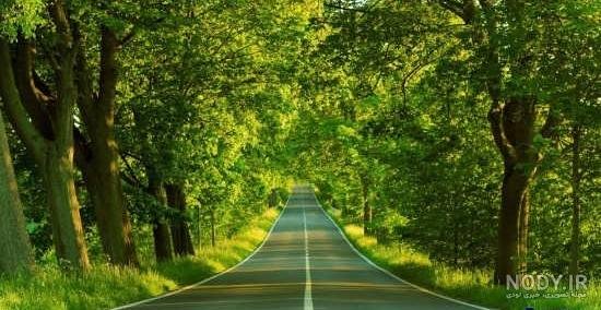  عکس دشت زیبا