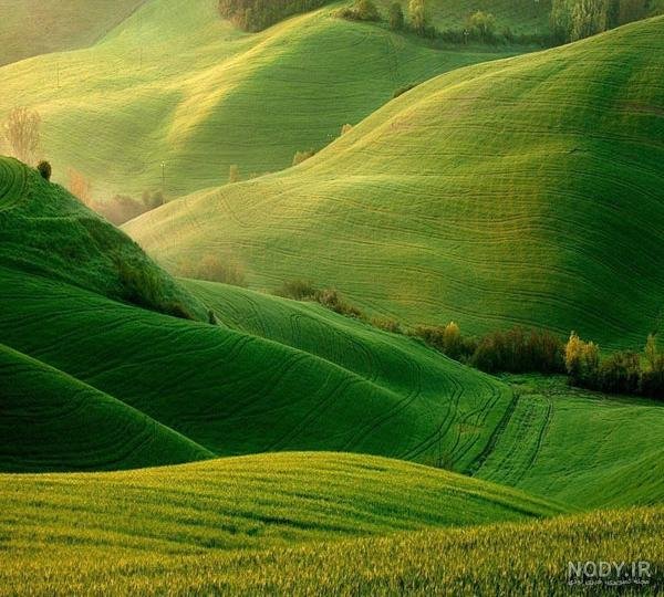  عکس دشت زیبا
