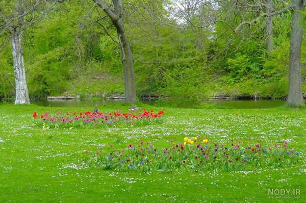  عکس دشت زیبا