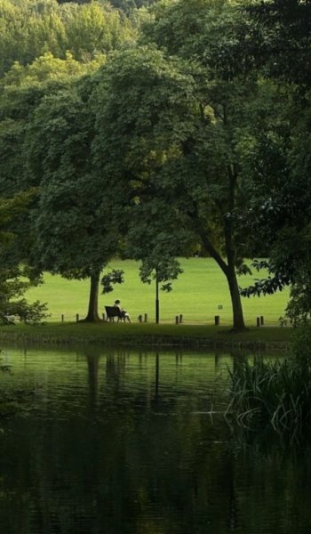  عکس طبیعت فوق العاده زیبا ایران