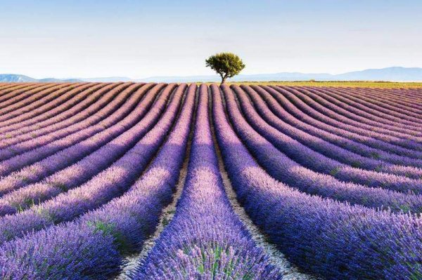  48 عکس زیباترین جای جهان