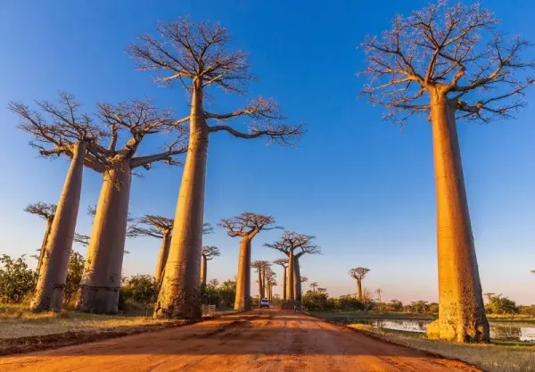  48 عکس زیباترین جای جهان