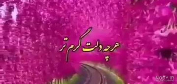  عکس وضعیت واتساپ شاد