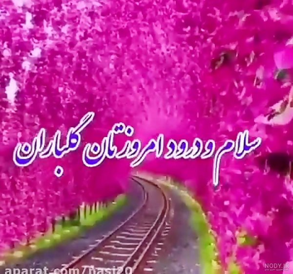  عکس وضعیت واتساپ شاد