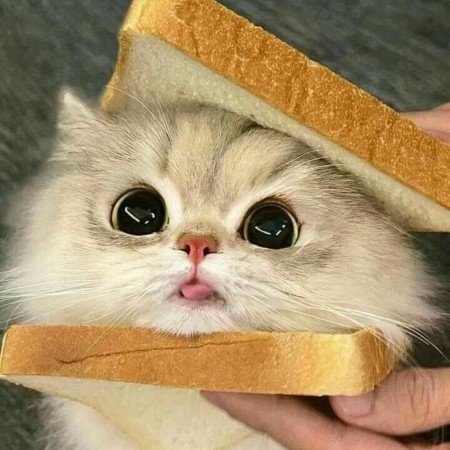  عکس خام برای استوری صبح بخیر