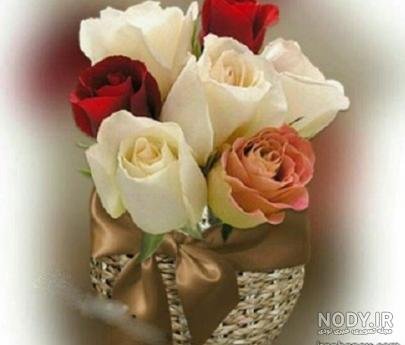  عکس برای استوری ایمو