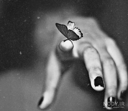  عکس پروفایل خالی ایمو