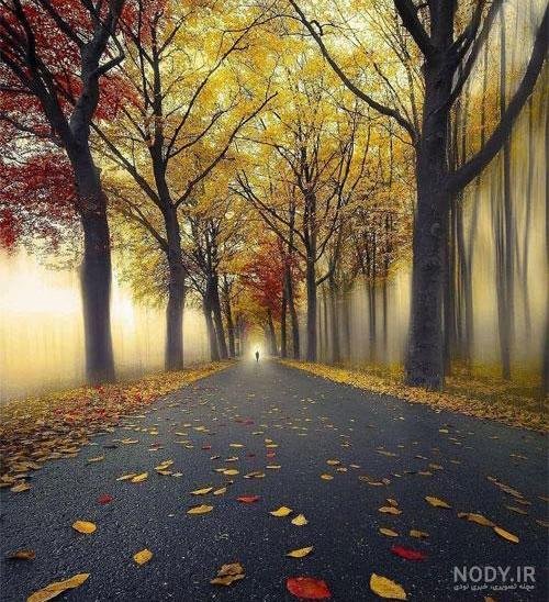  عکس پروفایل خالی ایمو