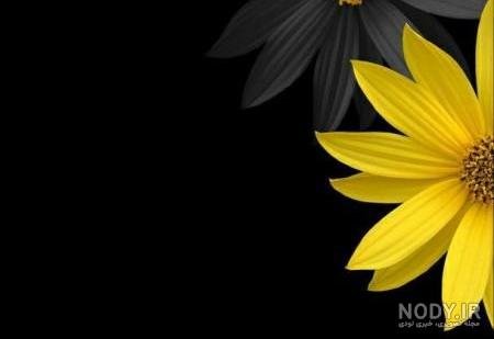  عکس پروفایل خالی ایمو