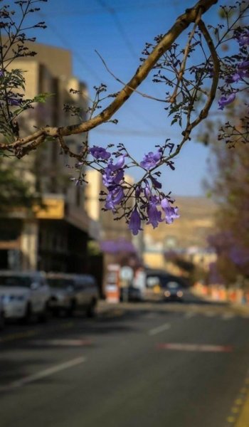  210 عکس برای استوری اینستاگرام