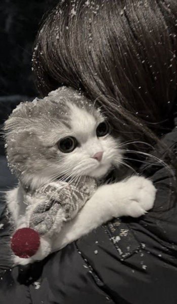  210 عکس برای استوری اینستاگرام