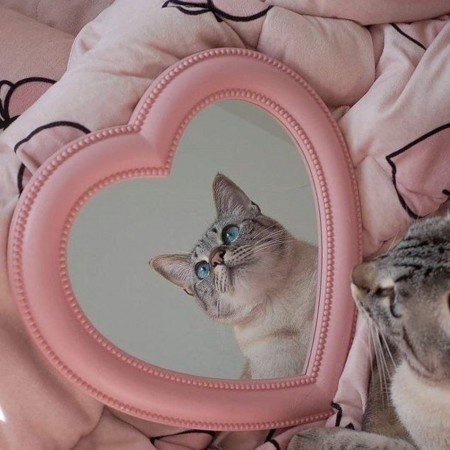  عکس استوری خفن